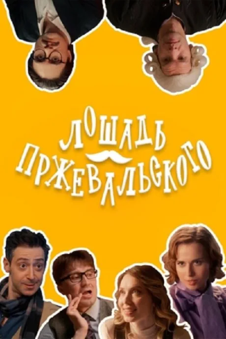 Лошадь Пржевальского