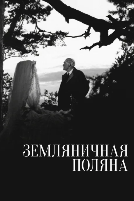 Земляничная поляна